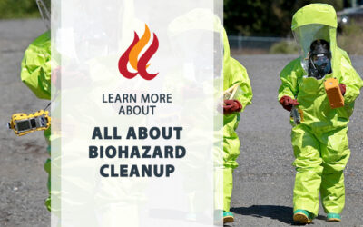 All About Biohazard Cleanup